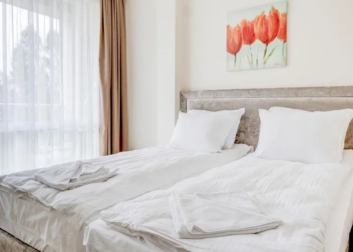 Jupiter 1 Family Balchik